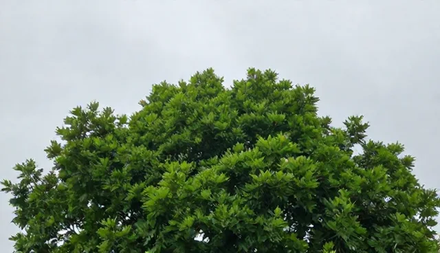 需求沟通效率低下如何影响企业运营